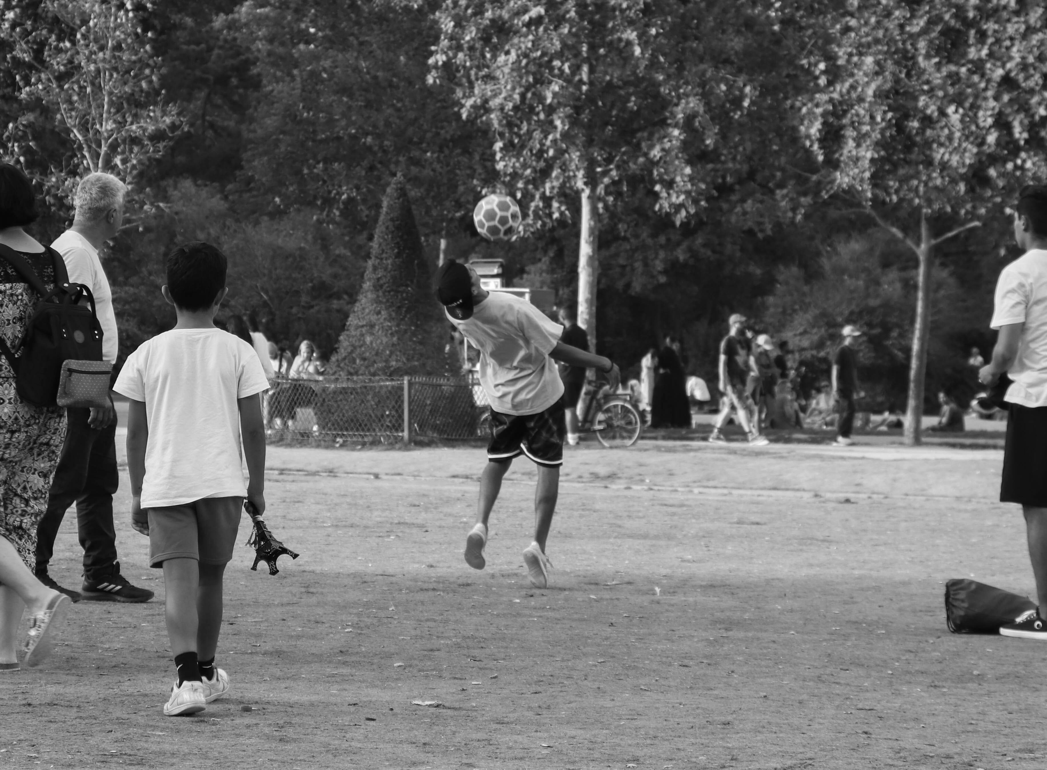IMG_6514_b